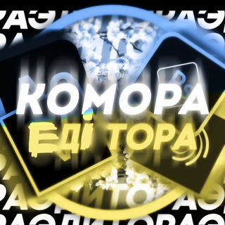 Комора Едітора