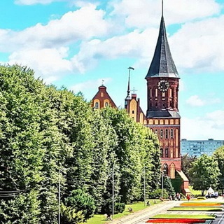 Беседы на Кнайпхофе