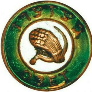 KOПИПАСТ копипасти