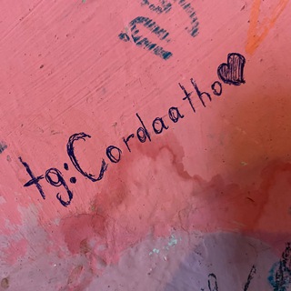 🍀Enigma💵Shop🍀