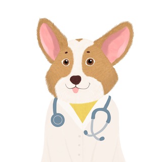 Корги и USMLE - Resources