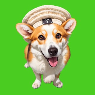 Корги Сырок