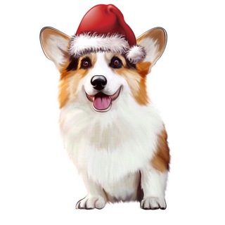 corgosha