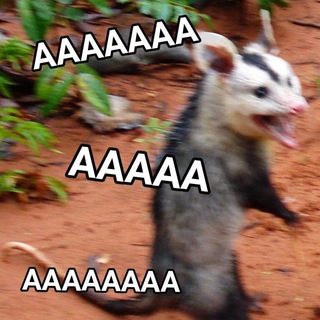 K-cover battle SaintP