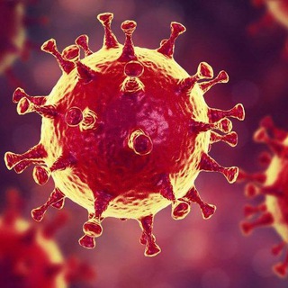 Новости коронавируса | COVID-2019