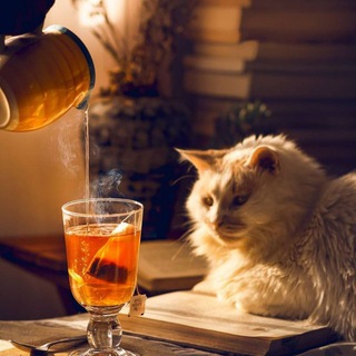 Уютненькая таверна