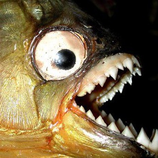 и всякие репосты