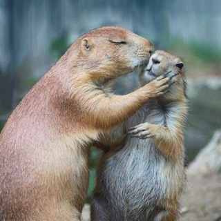 Красивая Природа