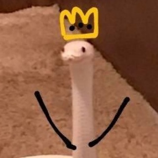 крипто кринж