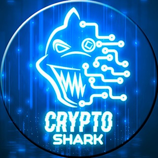 Crypto Shark
