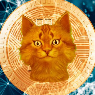 😸 КриптоКот - CryptoCot, Coin ICO Аналитика, Биткоин, Эфир, Bitcoin, Ethereum, Крипто Кот