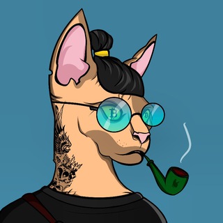 Крипто-Кот и Точка!