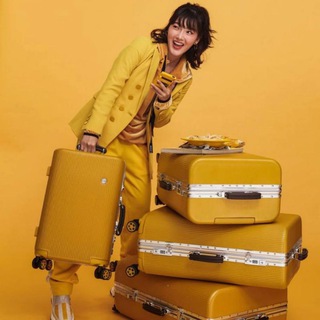 Дама сдавала багаж