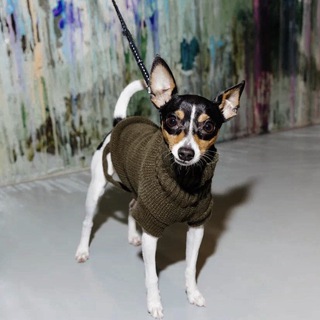 Культурный кусь