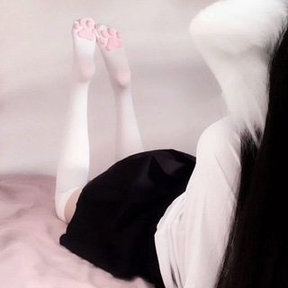 ꒰ : ꒱ ࣪୨୧ cute - cats ( ¡ ) ๑ .°