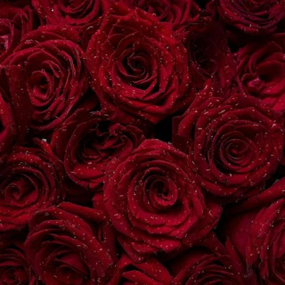 Картинки цветы🌹