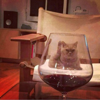 Резюмешная