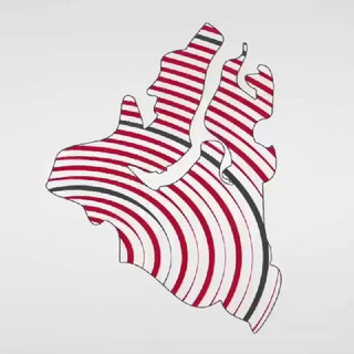 Кибердружина Ямала