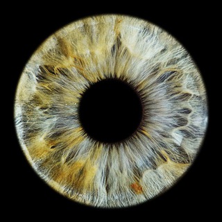 Дмитрий Коробов