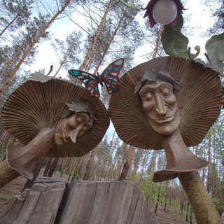 Рязанский инсайдер