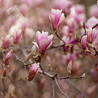 21 grams of Mary’s soul