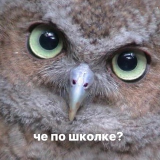 че по школке?