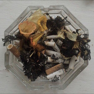 моя дарк академ любовь