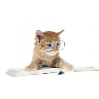 Даша учит математике