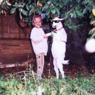 Даш, ты опять?