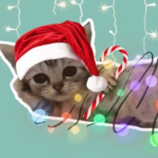 Вот так диво!☀️