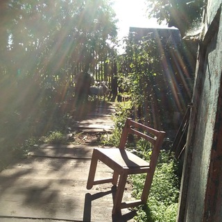 Заметки из тумана