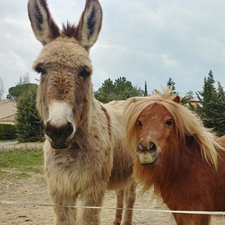 Дневник моего опыта👀