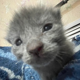 ПаловыеКрабочки 😈