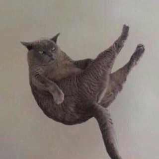 ты меня доканал