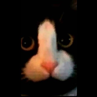 добрейший вечерочек