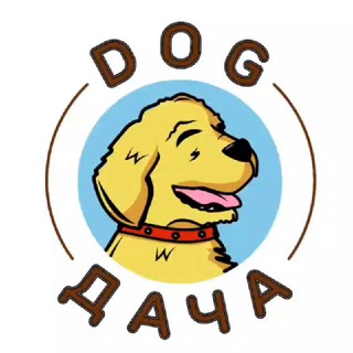 Лена и её Dog-Дача - гостевой дом для собак