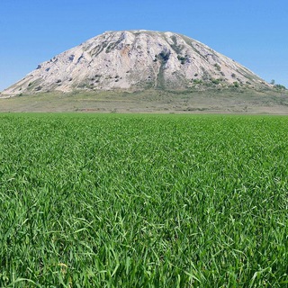 Башкирская аналитика