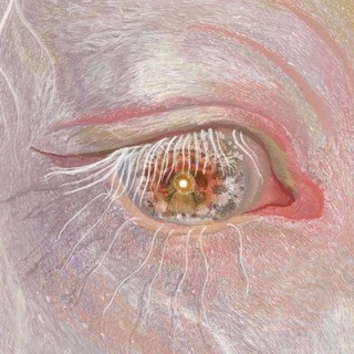 твоя подружка