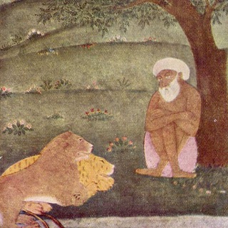 чудо-біоробот