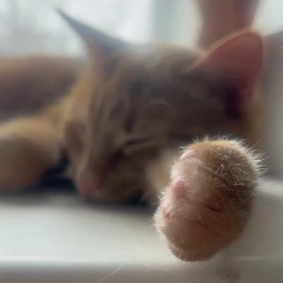 Духовности