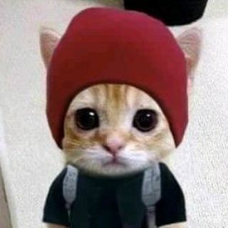 луковый суп