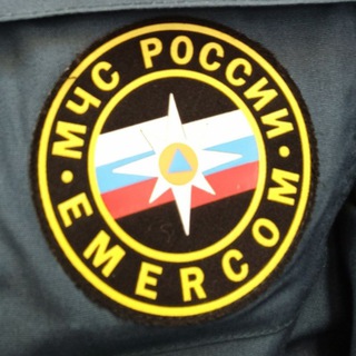 Похождения Старого Енота