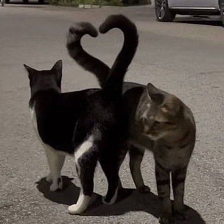 сюсю мусю! 💋