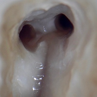 Мысли Вслух