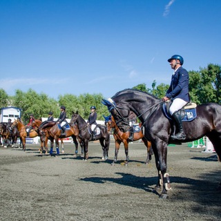ГБУ ДО КК «СШОР по конному спорту»