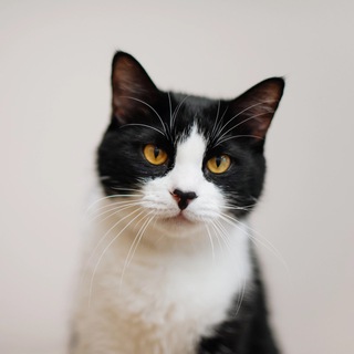 ДОБРЫЙ ДОМ | ХАБАРОВСК