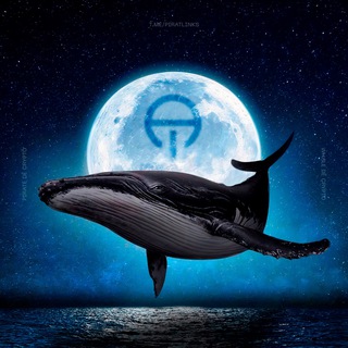 whale dé crypto