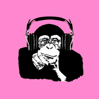 Дело в том, что я слушаю очень много новой музыки