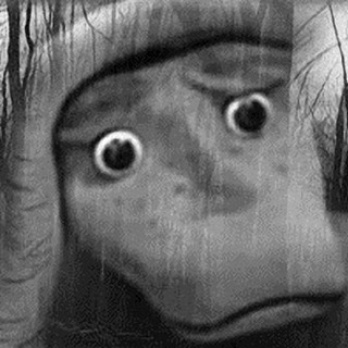 Мыши съели письма и записки