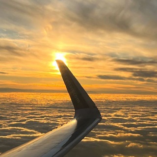 Мотивация | Психология | Любовь